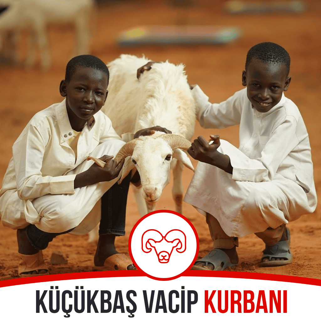Afrika Küçükbaş Vacip Kurbanı